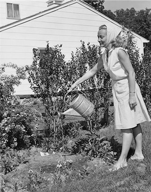 Post 'Is your job search being greenwashed?' featured image