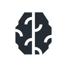 brain icon (knowledge)