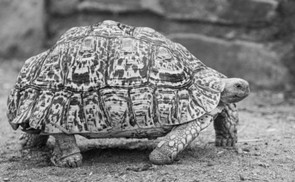 Post '7 Mistakes that Slow Down Any Job Search' featured image